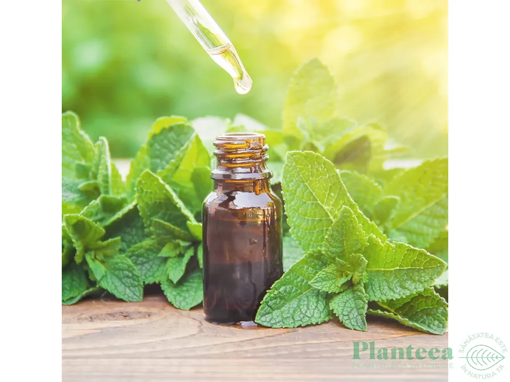 Ulei esential integral menta piperata 10ml - LIFE