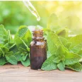 Ulei esential integral menta piperata 10ml - LIFE