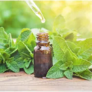 Ulei esential integral menta piperata 10ml - LIFE