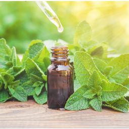 Ulei esential integral menta piperata 10ml - LIFE