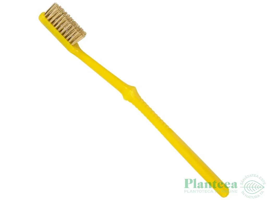 Periuta dinti fir natural galben 1b - PERGO