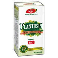 Plantusin capsule Tuse Productiva 30cps - FARES