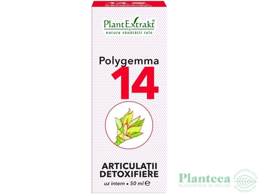 Polygemma 14 articulatii 50ml - PLANTEXTRAKT