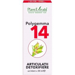 Polygemma 14 articulatii 50ml - PLANTEXTRAKT