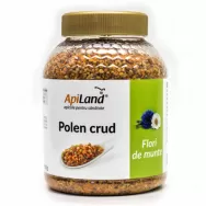 Polen crud flori munte 500g - APILAND