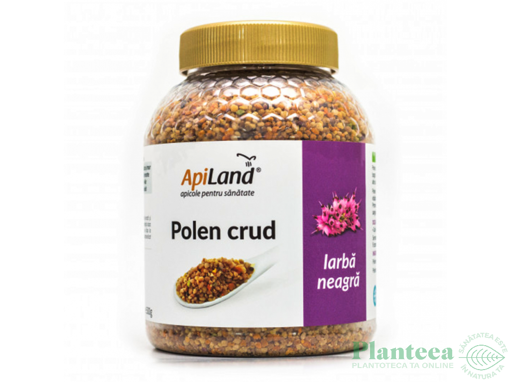 Polen crud iarba neagra 500g - APILAND