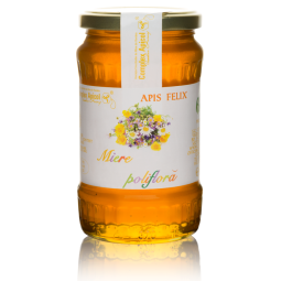 Miere poliflora 450g - COMPLEX APICOL