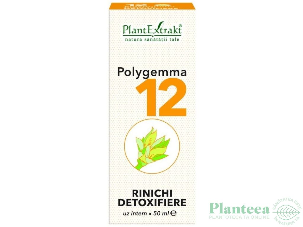 Polygemma 12 rinichi detoxifiere 50ml - PLANTEXTRAKT