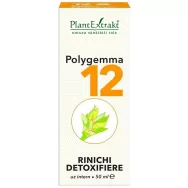 Polygemma 12 rinichi detoxifiere 50ml - PLANTEXTRAKT