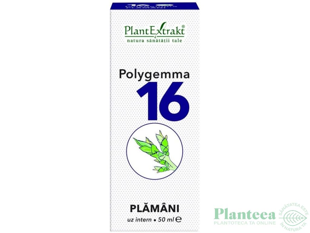 Polygemma 16 plamani 50ml - PLANTEXTRAKT
