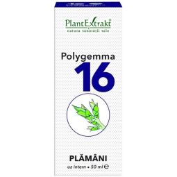 Polygemma 16 plamani 50ml - PLANTEXTRAKT