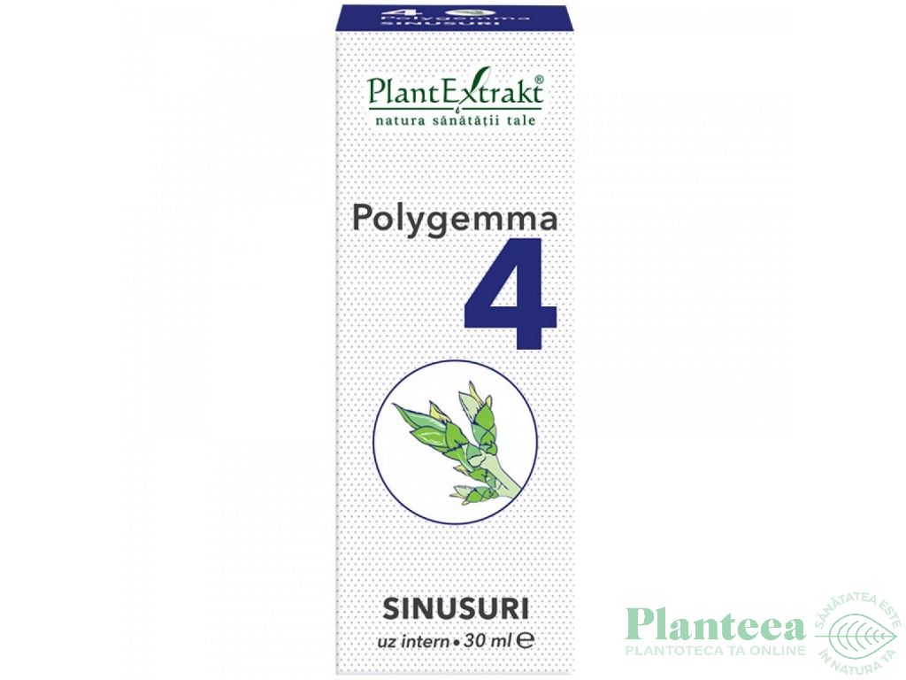 Polygemma 4 sinusuri 30ml - PLANTEXTRAKT