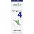 Polygemma 4 sinusuri 30ml - PLANTEXTRAKT