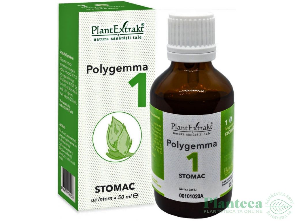 Polygemma 1 stomac 50ml - PLANTEXTRAKT