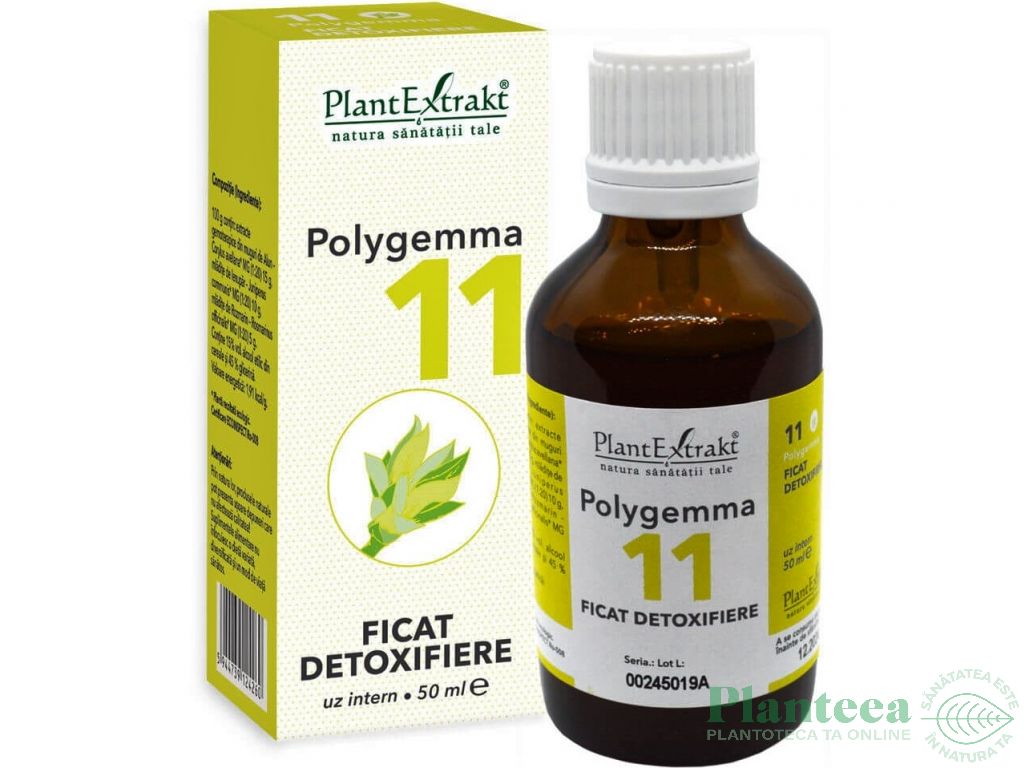 Polygemma 11 ficat 50ml - PLANTEXTRAKT