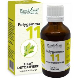 Polygemma 11 ficat 50ml - PLANTEXTRAKT