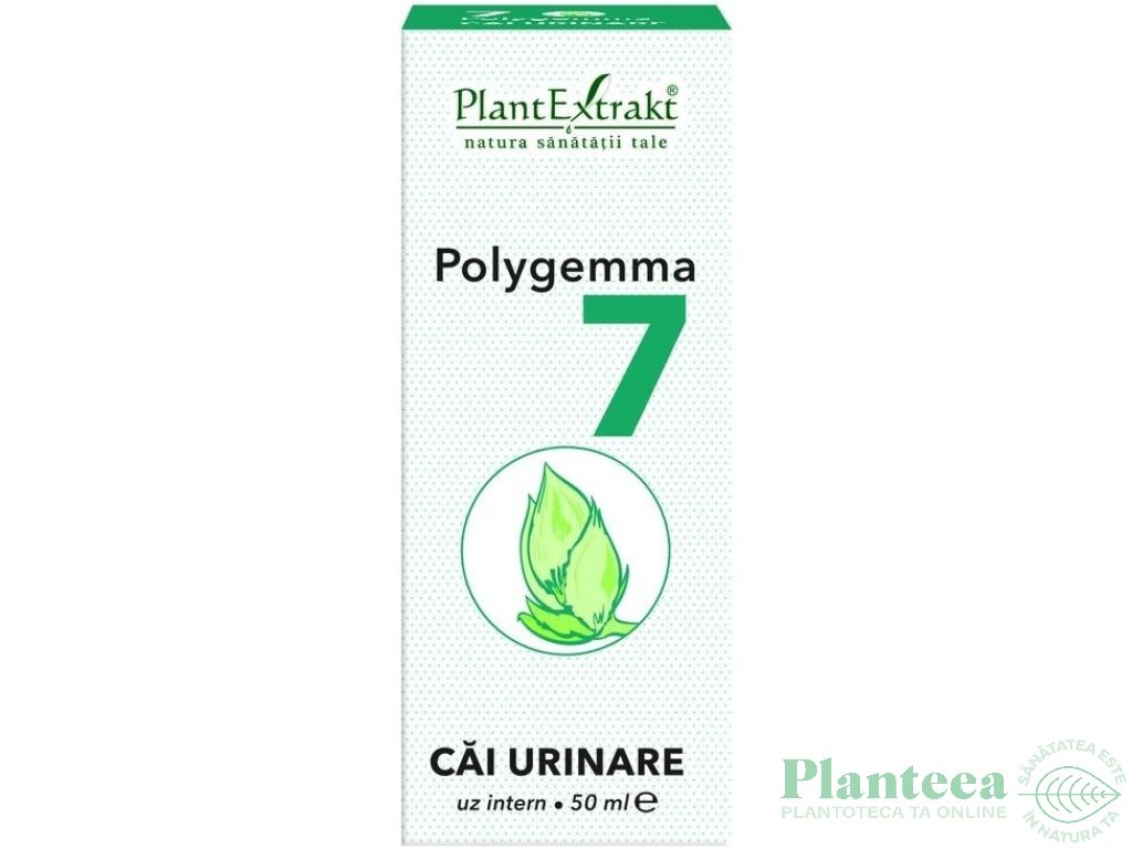 Polygemma 7 cai urinare 50ml - PLANTEXTRAKT