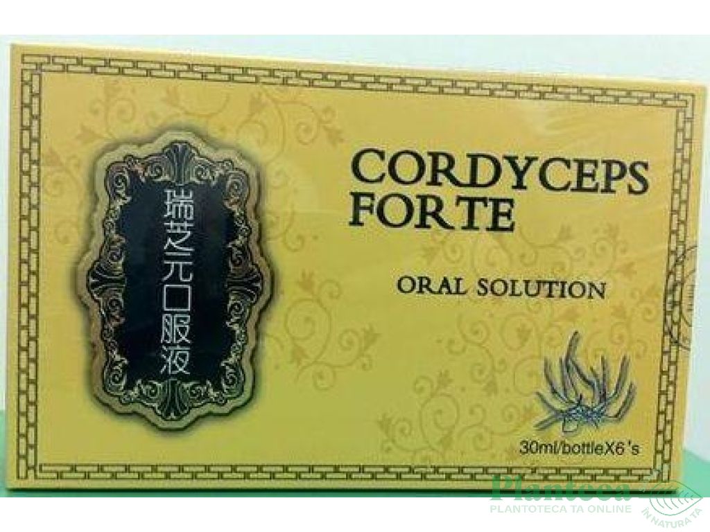 Cordyceps forte fiole 6x10ml - AMEDSSON