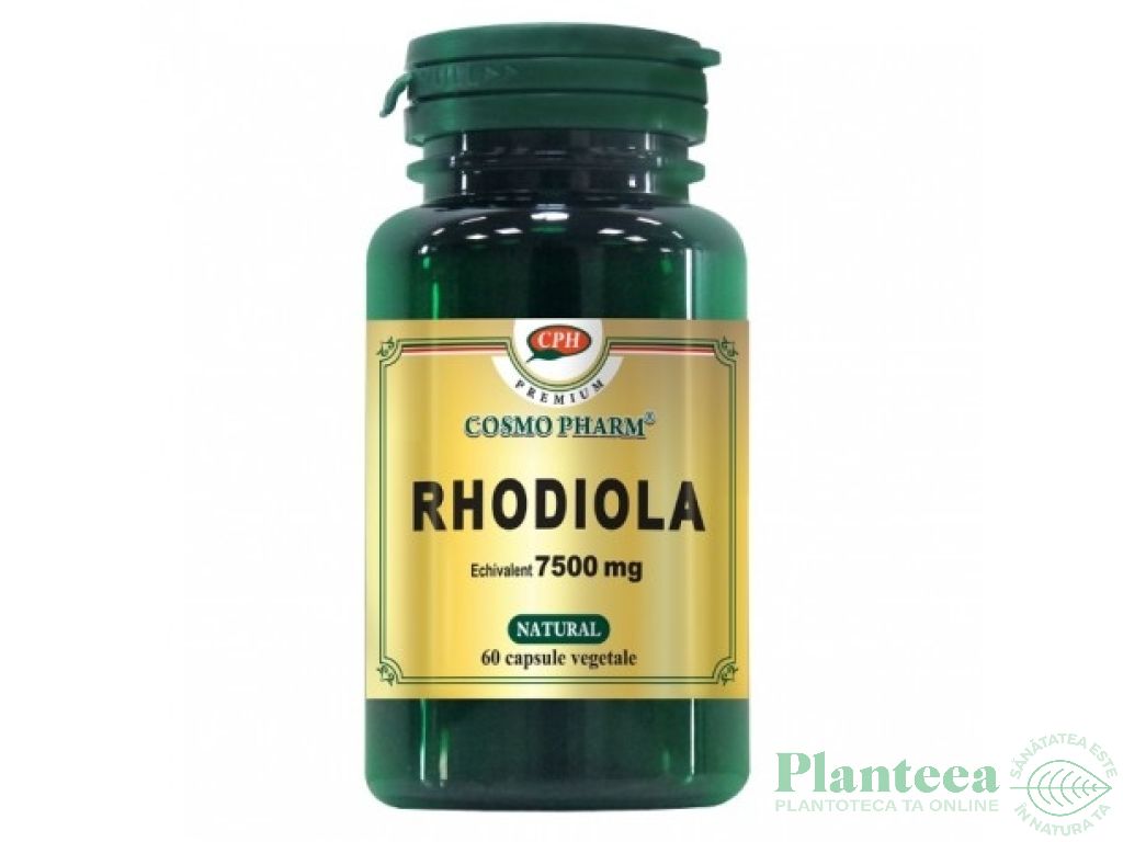 Rhodiola extract 500mg Premium 60cps - COSMO PHARM