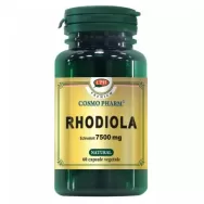 Rhodiola extract 500mg Premium 60cps - COSMO PHARM