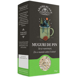 Ceai pin muguri 50g - BONCHIS