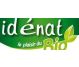Seminte in auriu eco 250g - IDENAT