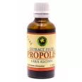 Extract glicolic propolis 50ml - HYPERICUM PLANT