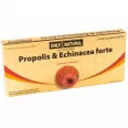 Propolis echinaceea 1000mg 10fl - ONLY NATURAL