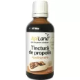 Tinctura propolis purificat 95% 50ml - APILAND