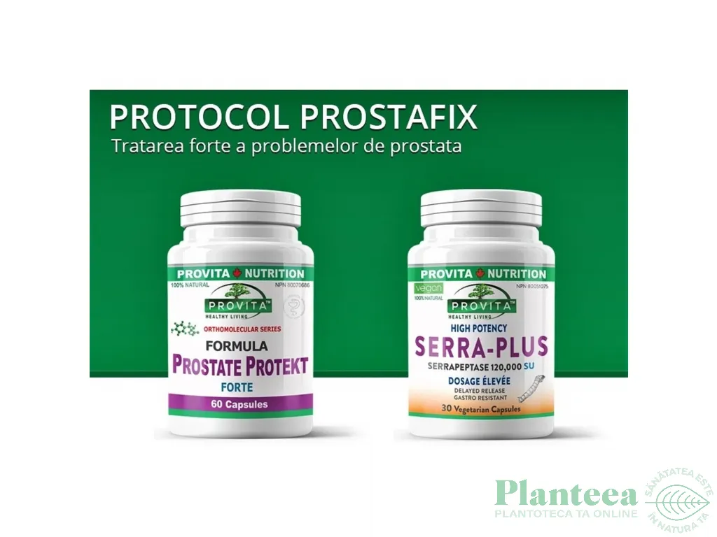 Protocol Prostafix [pt terapia problemelor de prostata] 2b - PROVITA