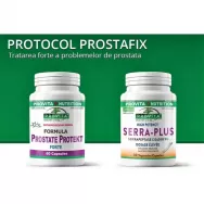 Protocol Prostafix [pt terapia problemelor de prostata] 2b - PROVITA