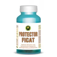 Protector ficat 60cps - HYPERICUM PLANT