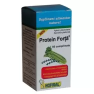 Protein forta 60cp - HOFIGAL