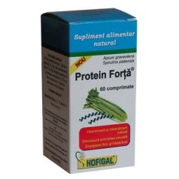 Protein forta 60cp - HOFIGAL