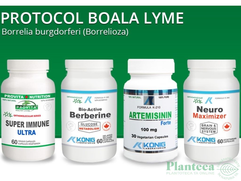 Protocol Boala Lyme [pt borrelioza] 6b - PROVITA