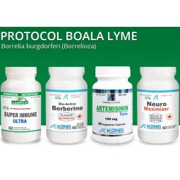 Protocol Boala Lyme [pt borrelioza] 6b - PROVITA