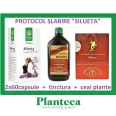 Protocol Silueta pt slabit 4b - PLANTEEA