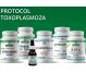Protocol Toxoplasmoza [pt infectia cu protozoarul toxoplasma gondii] 10b - PROVITA