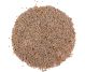 Seminte psyllium 100g - SOLARIS