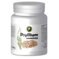 Seminte psyllium 150g - HYPERICUM PLANT
