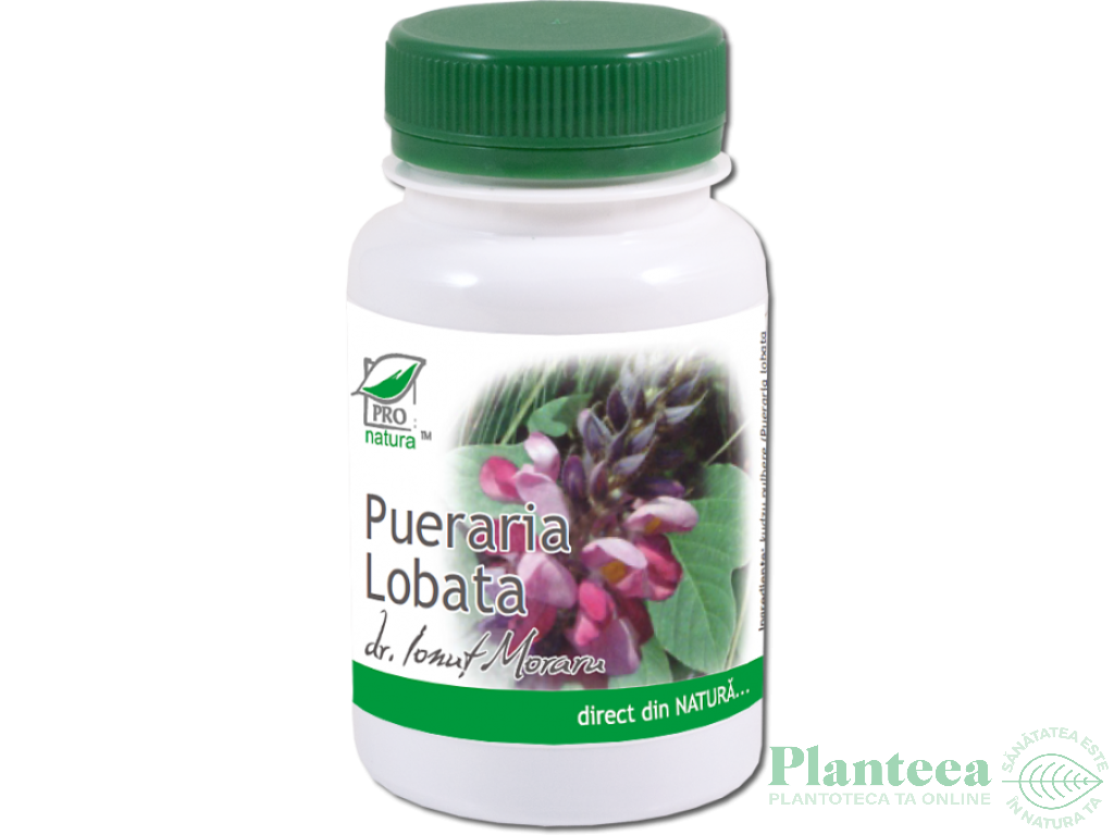 Pueraria lobata 60cps - MEDICA