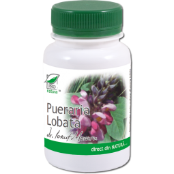 Pueraria lobata 60cps - MEDICA