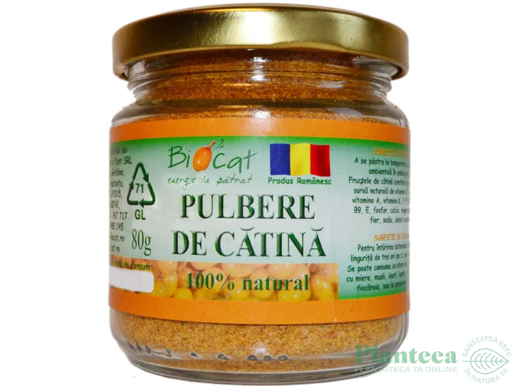 Pulbere catina eco 80g - BIOCAT