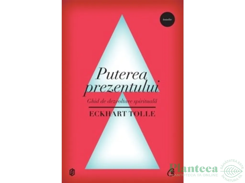 Carte Puterea prezentului 2011 112pg - CURTEA VECHE