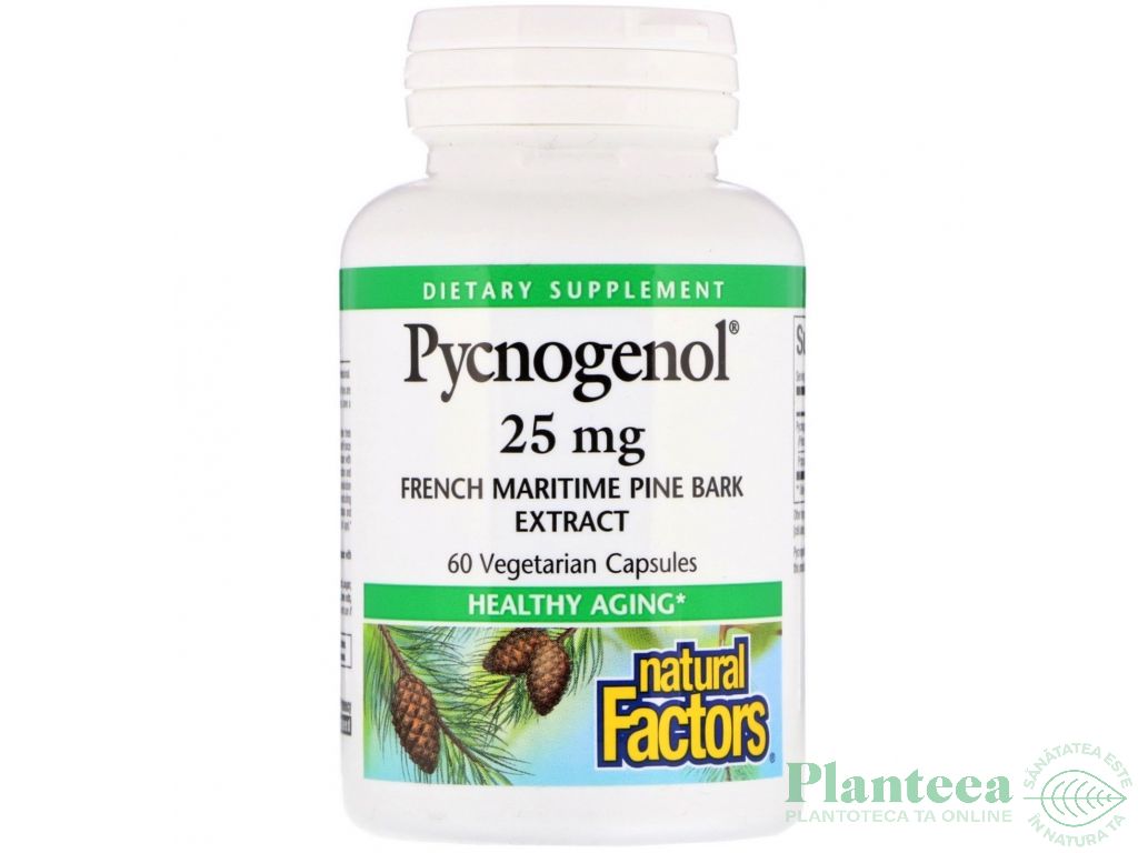 Pycnogenol 25mg 60cps - NATURAL FACTORS