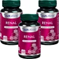 Set Renal 3x60cps - DVR PHARM