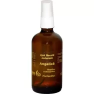 Apa florala naturala angelica 100ml - AQUA NANO