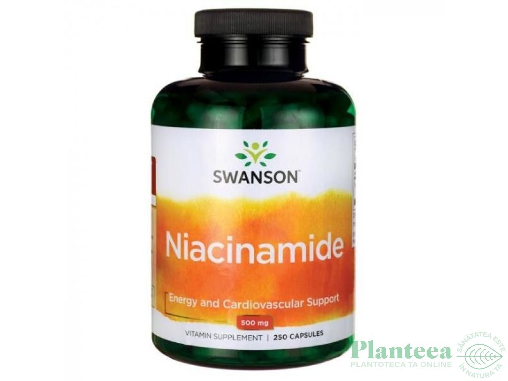 Vitamina B3 500mg 250cp - SWANSON