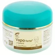 Unguent VapoForte 40g - MEDICA