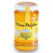 Miere poliflora 400g - APISALECOM